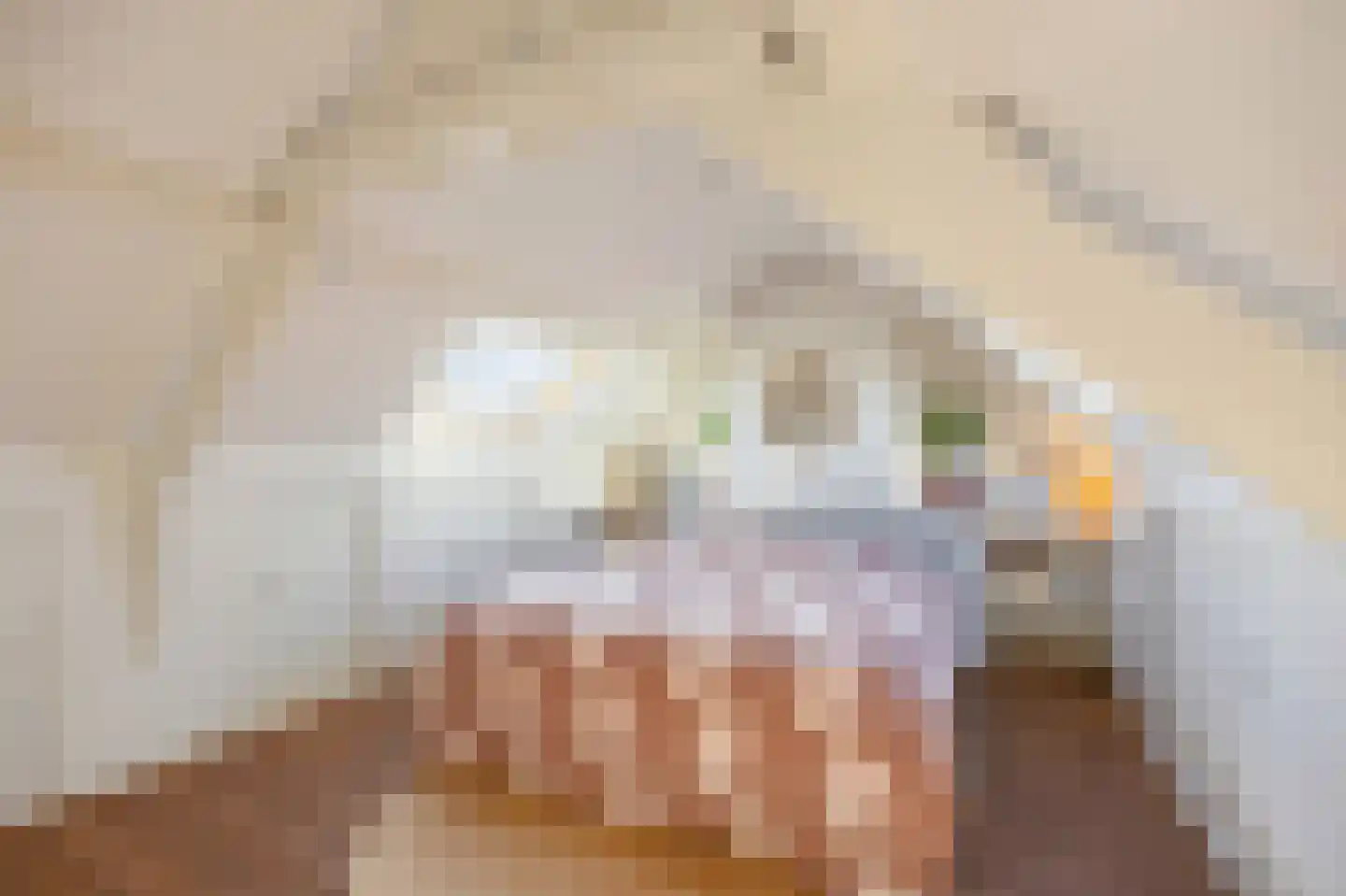 Roermondsestraat 19 Herten thumbnail 31