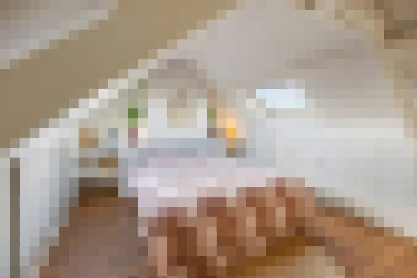 Roermondsestraat 19 Herten thumbnail 32