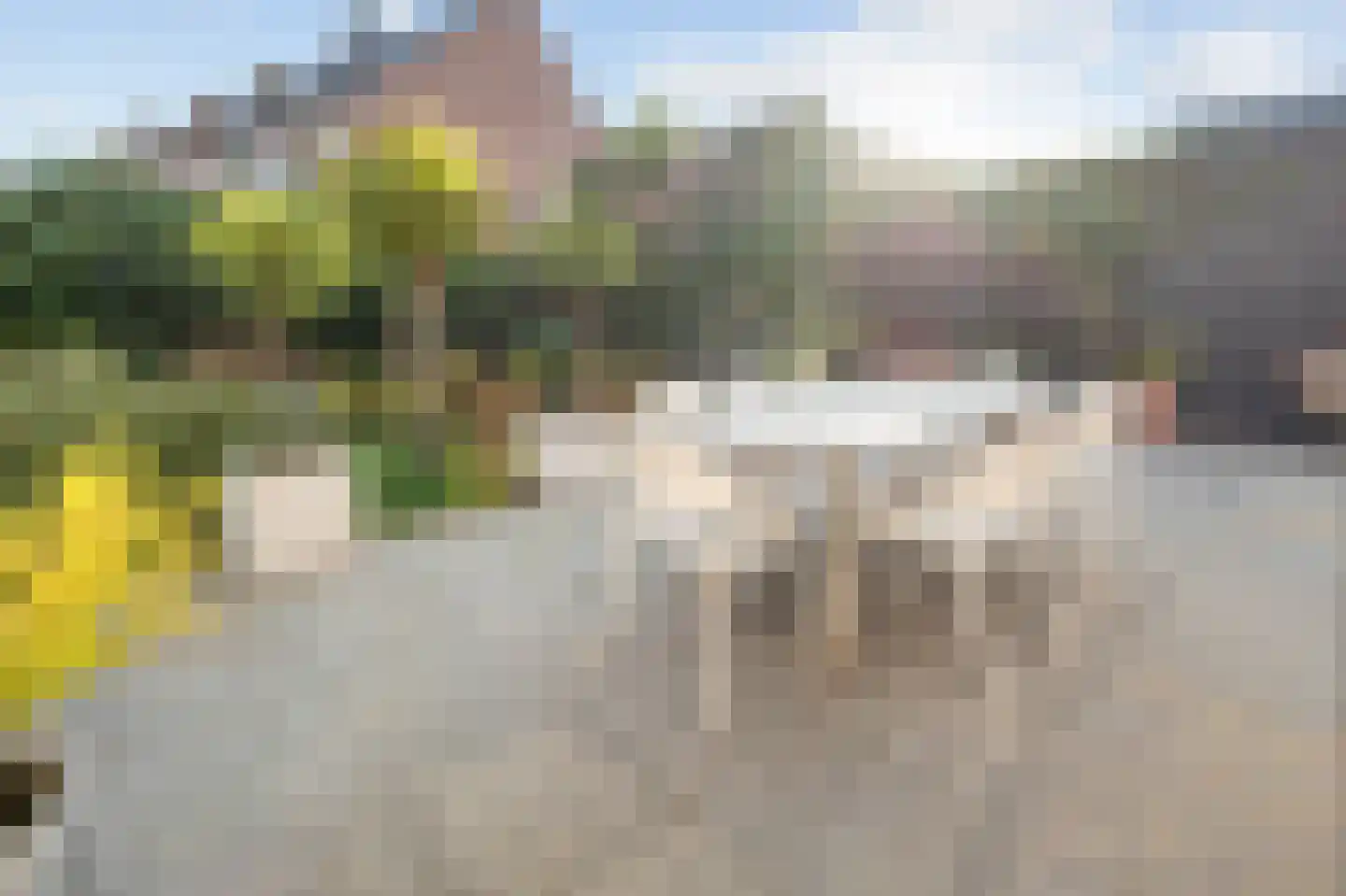Roermondsestraat 19 Herten thumbnail 35