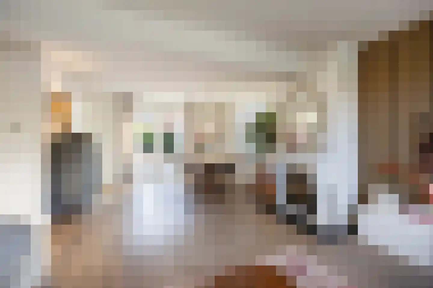 Roermondsestraat 19 Herten thumbnail 9