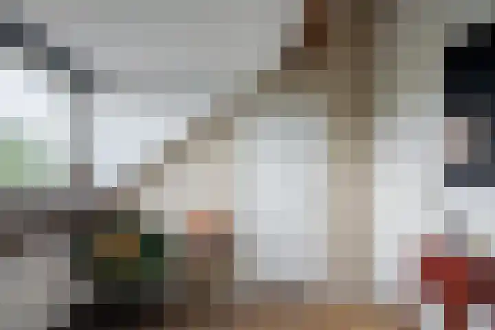Roermondseweg 109 Steyl thumbnail 38