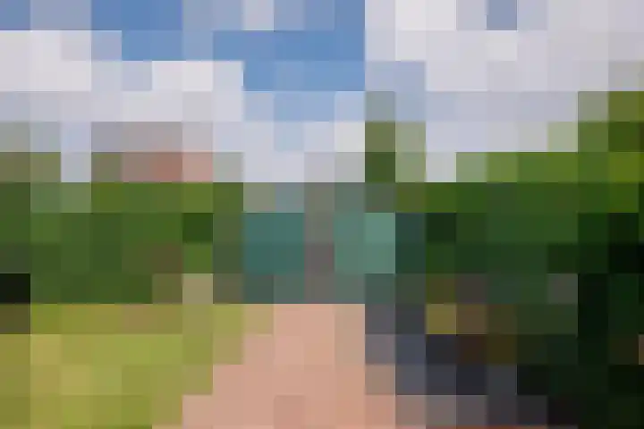 Roermondseweg 109 Steyl thumbnail 41