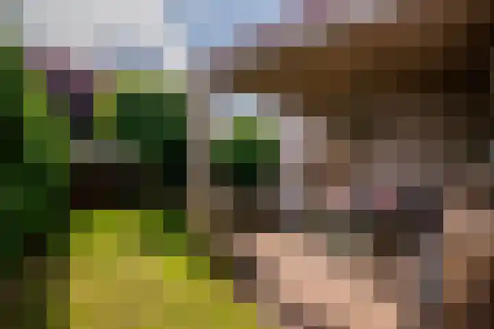 Roermondseweg 109 Steyl thumbnail 47
