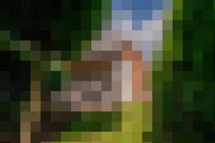 Roermondseweg 109 Steyl thumbnail 50