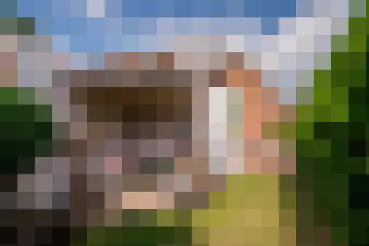 Roermondseweg 109 Steyl thumbnail 51