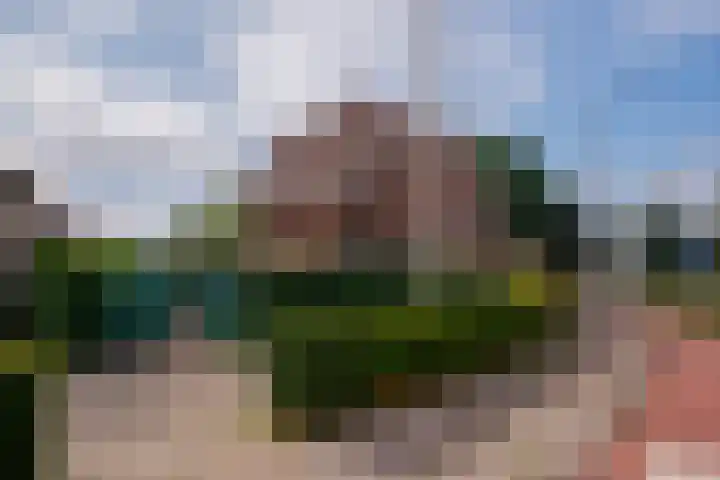 Roermondseweg 109 Steyl thumbnail 54
