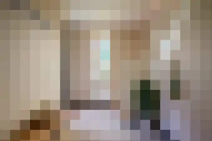 Roermondseweg 109 Steyl thumbnail 6