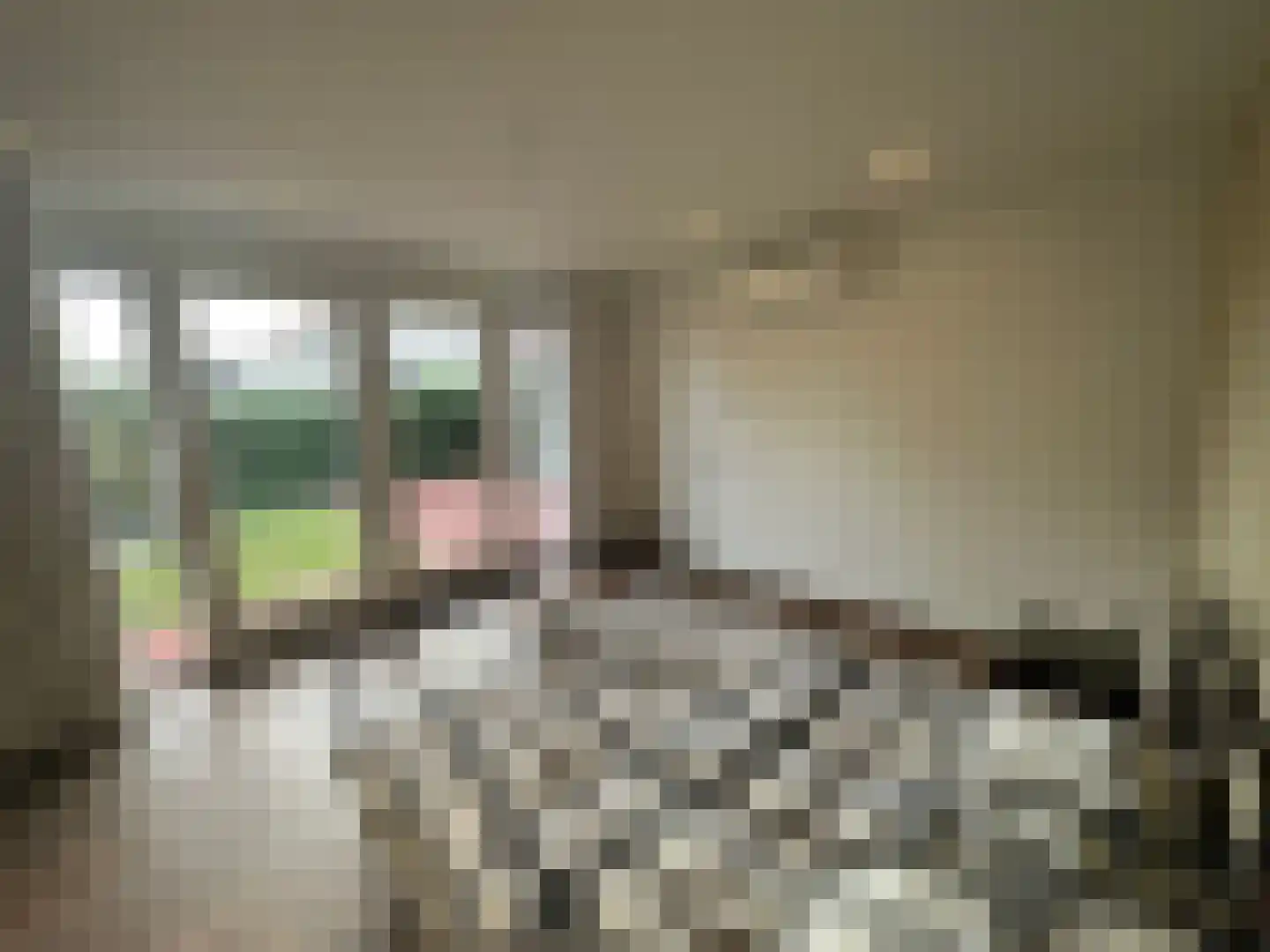 Roermondseweg 121 Steyl thumbnail 21