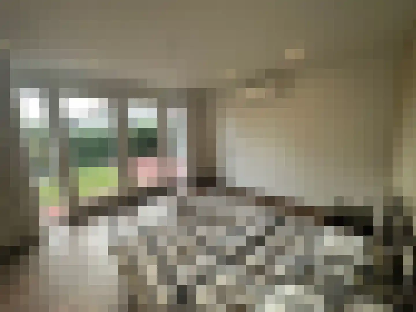 Roermondseweg 121 Steyl thumbnail 21
