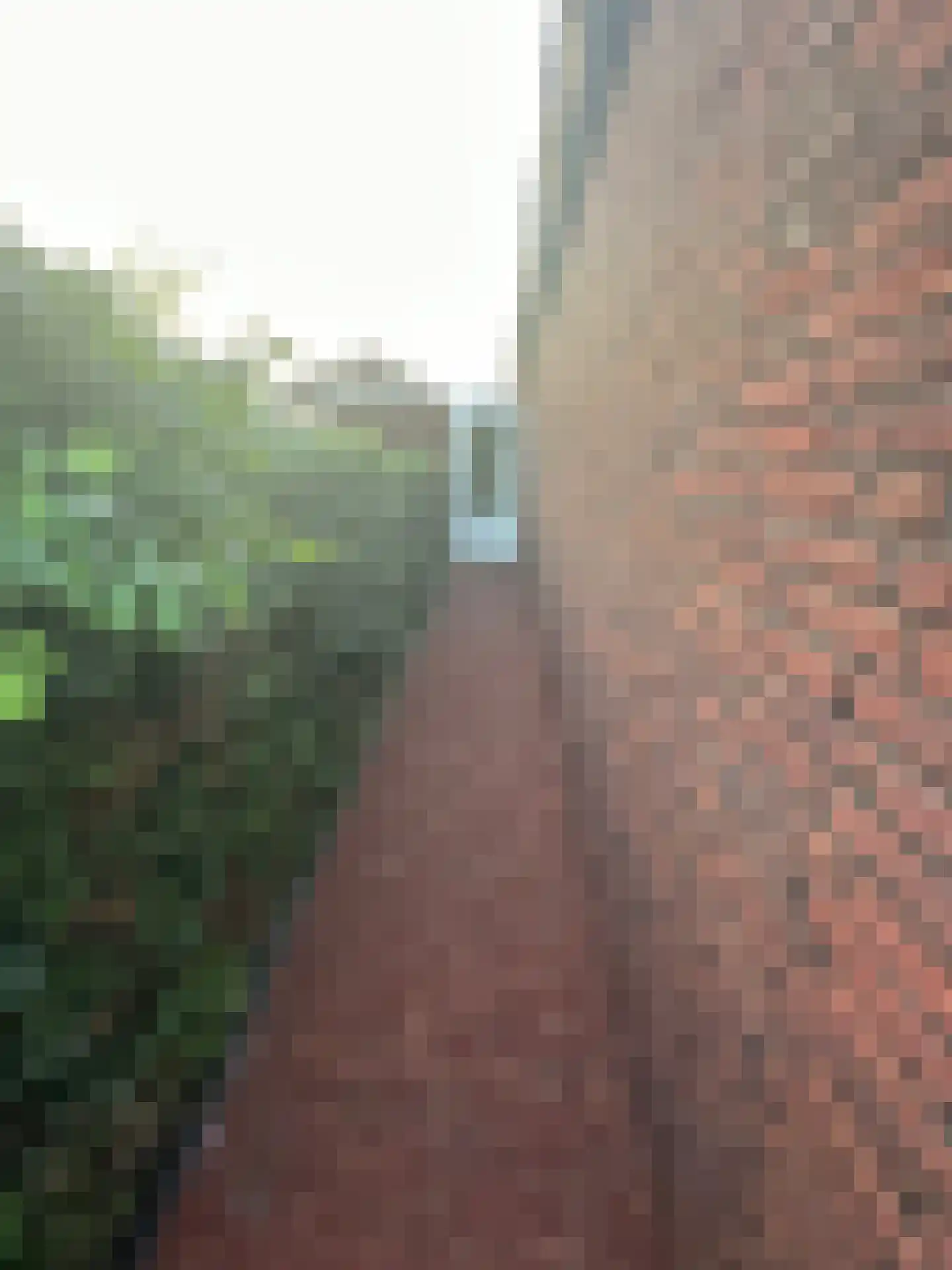 Roermondseweg 121 Steyl thumbnail 4