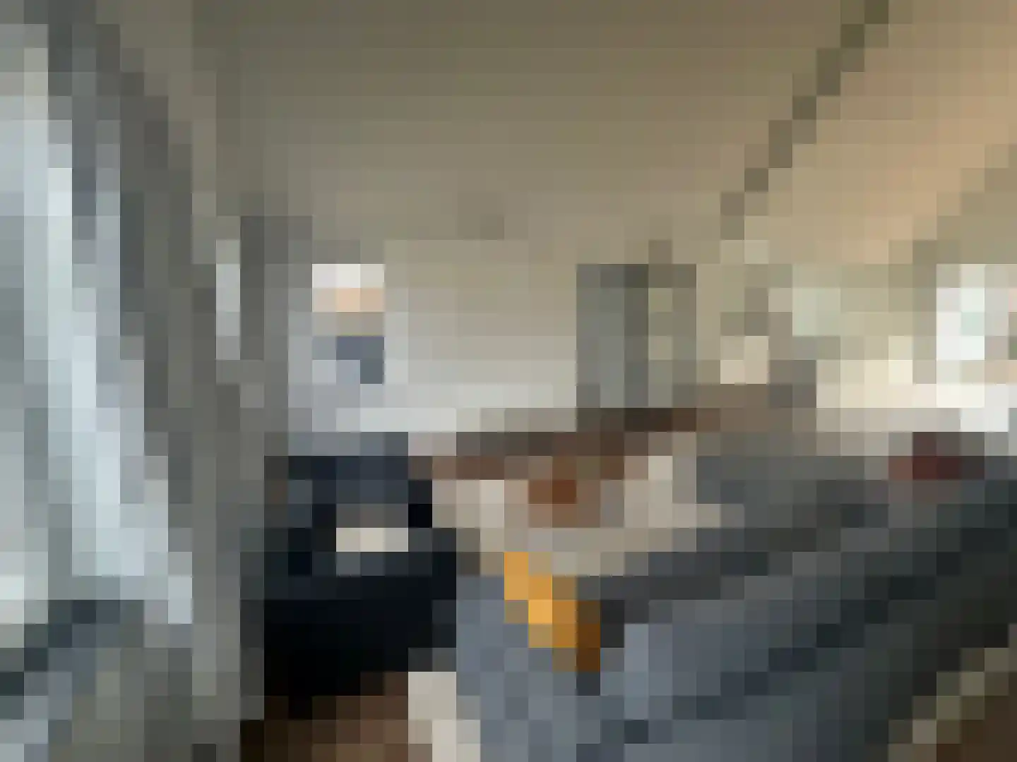 Roermondseweg 121 Steyl thumbnail 9