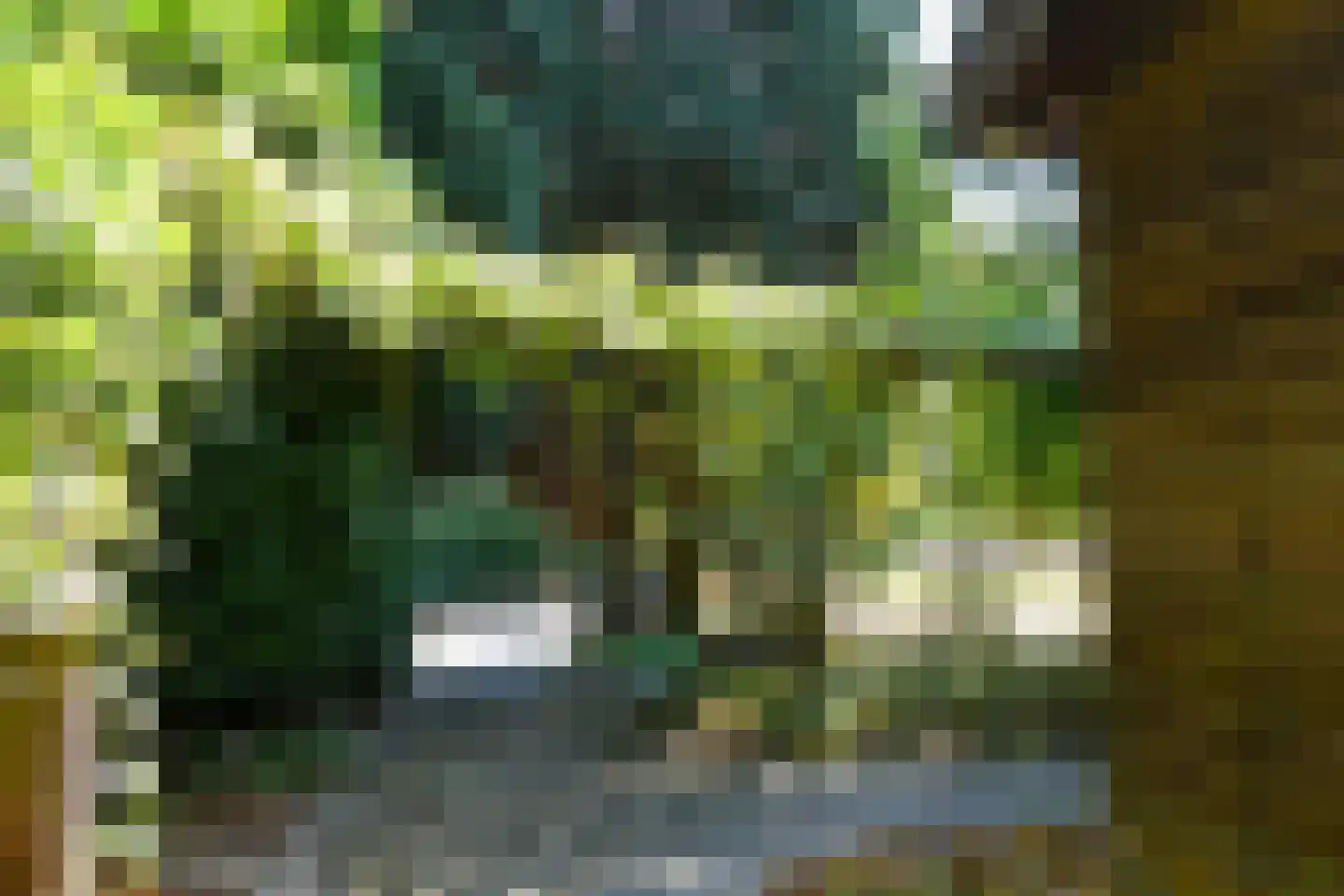 Roermondseweg 13 Haelen thumbnail 25