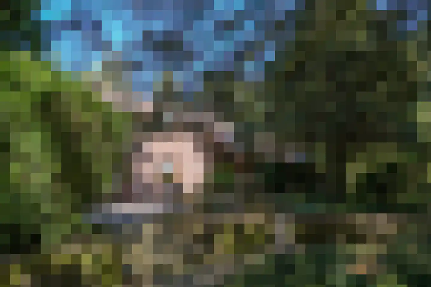 Roermondseweg 13 Haelen thumbnail 27