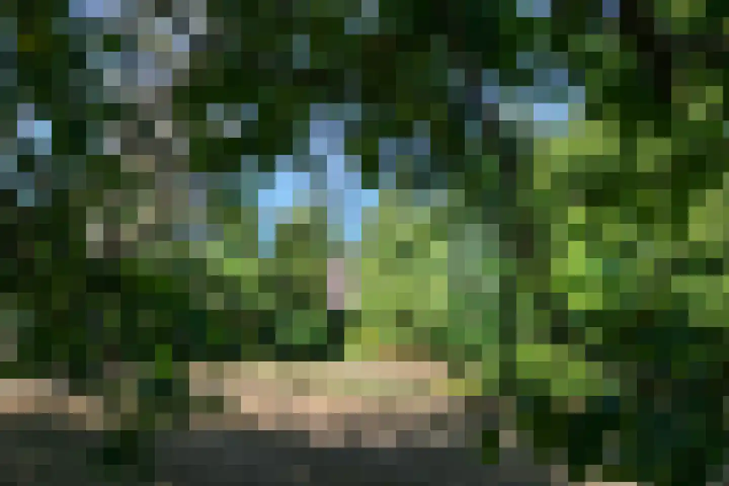 Roermondseweg 13 Haelen thumbnail 31