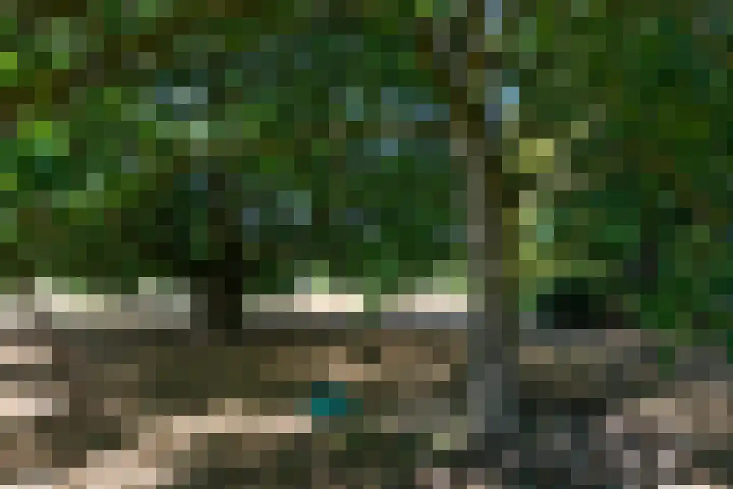 Roermondseweg 13 Haelen thumbnail 32