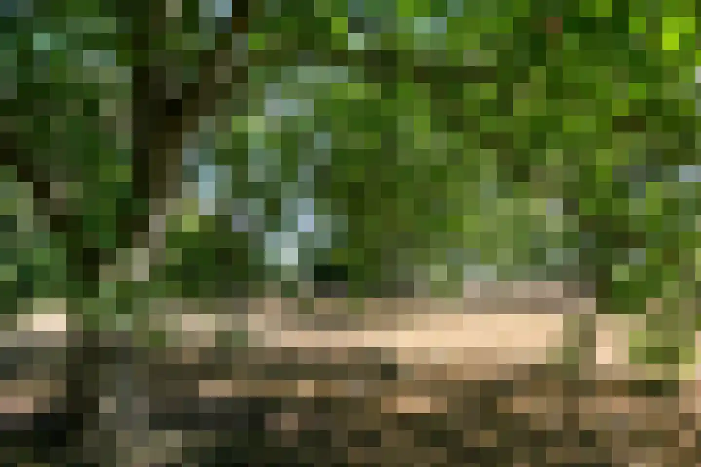 Roermondseweg 13 Haelen thumbnail 33
