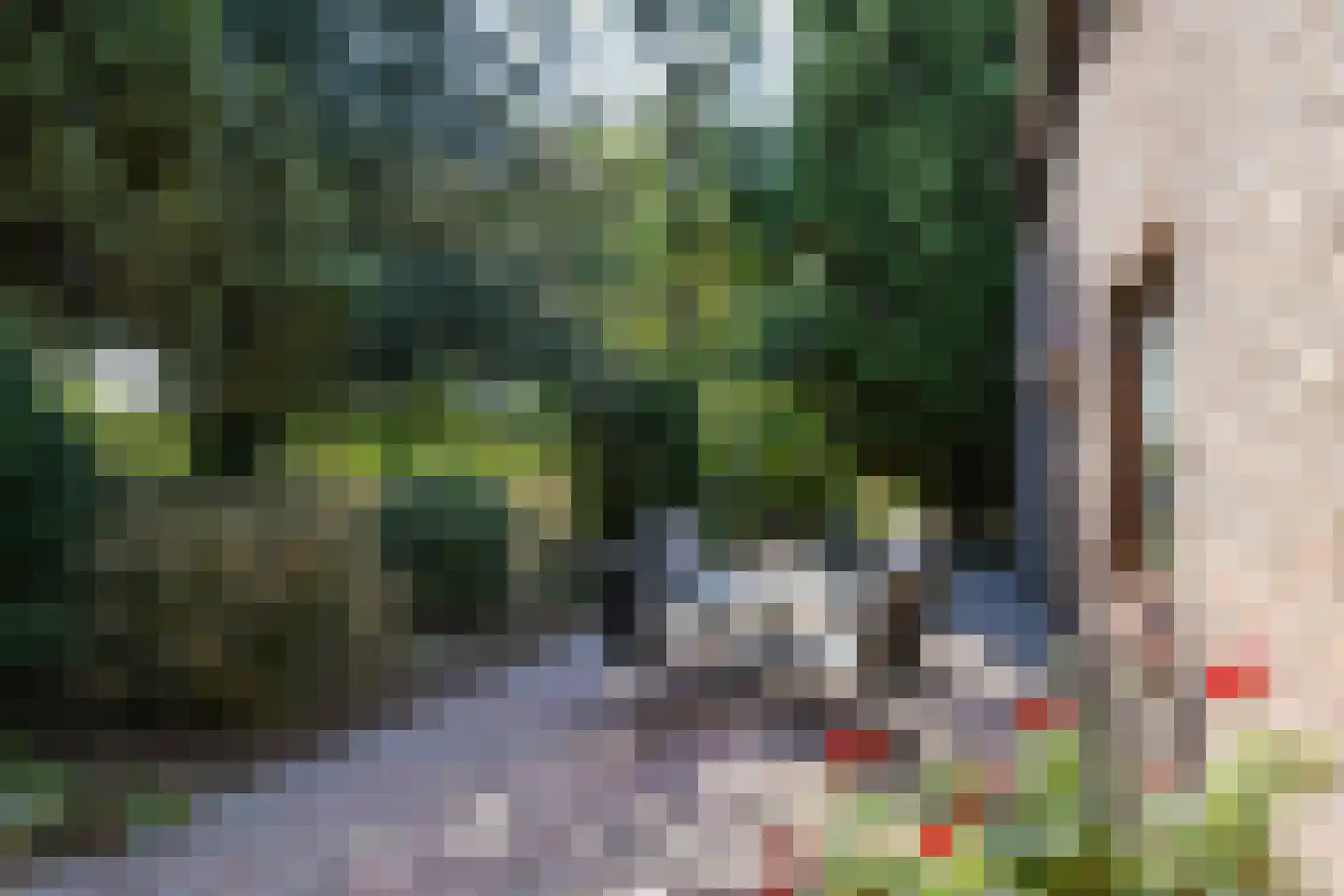 Roermondseweg 13 Haelen thumbnail 36