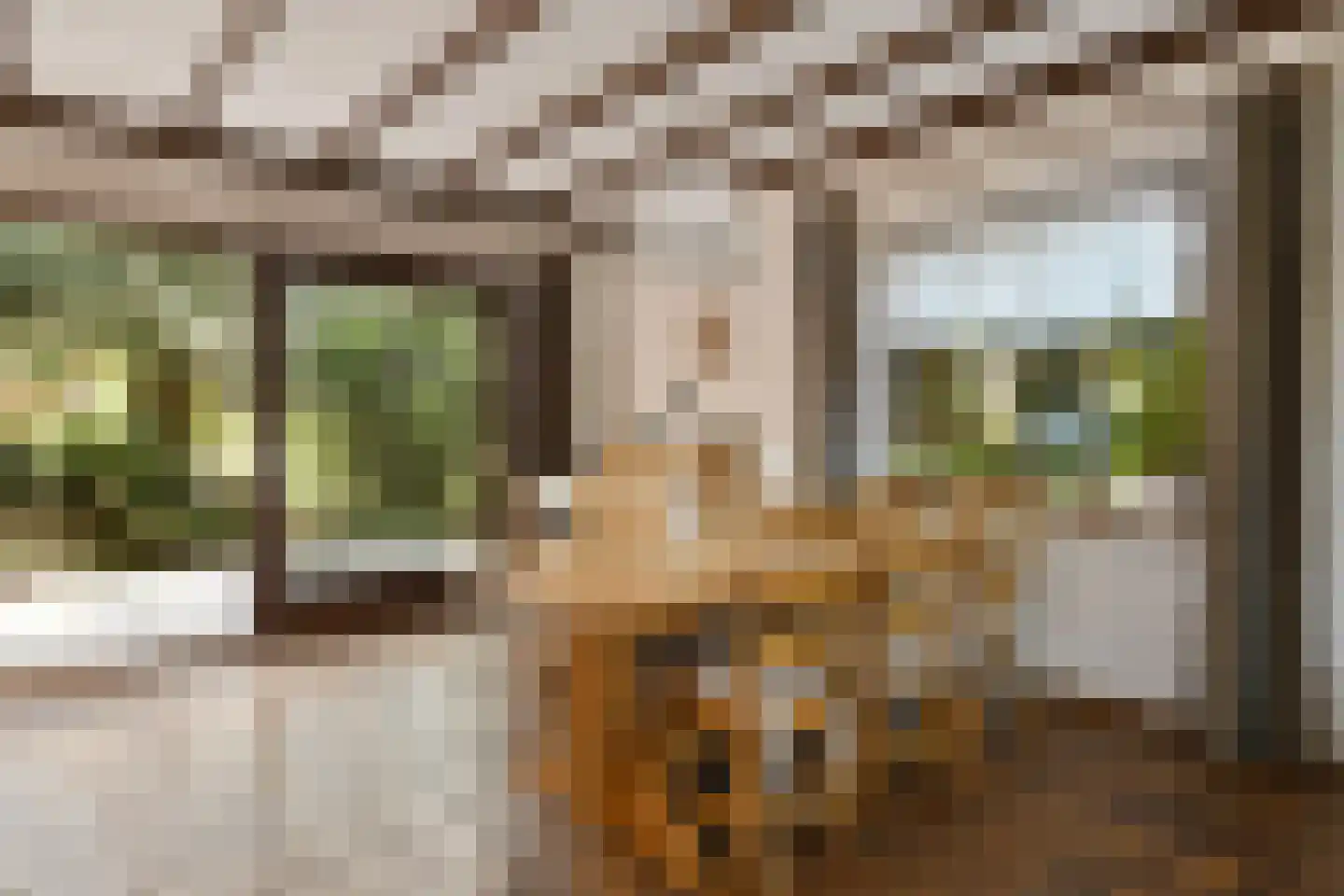 Roermondseweg 13 Haelen thumbnail 5