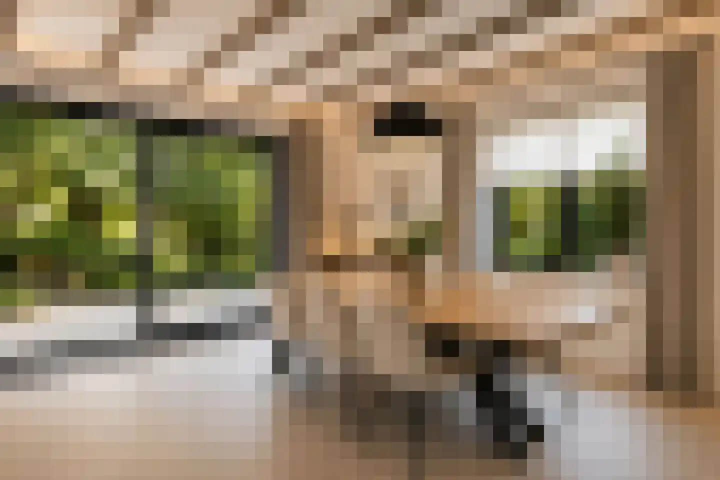 Roermondseweg 13 Haelen thumbnail 6
