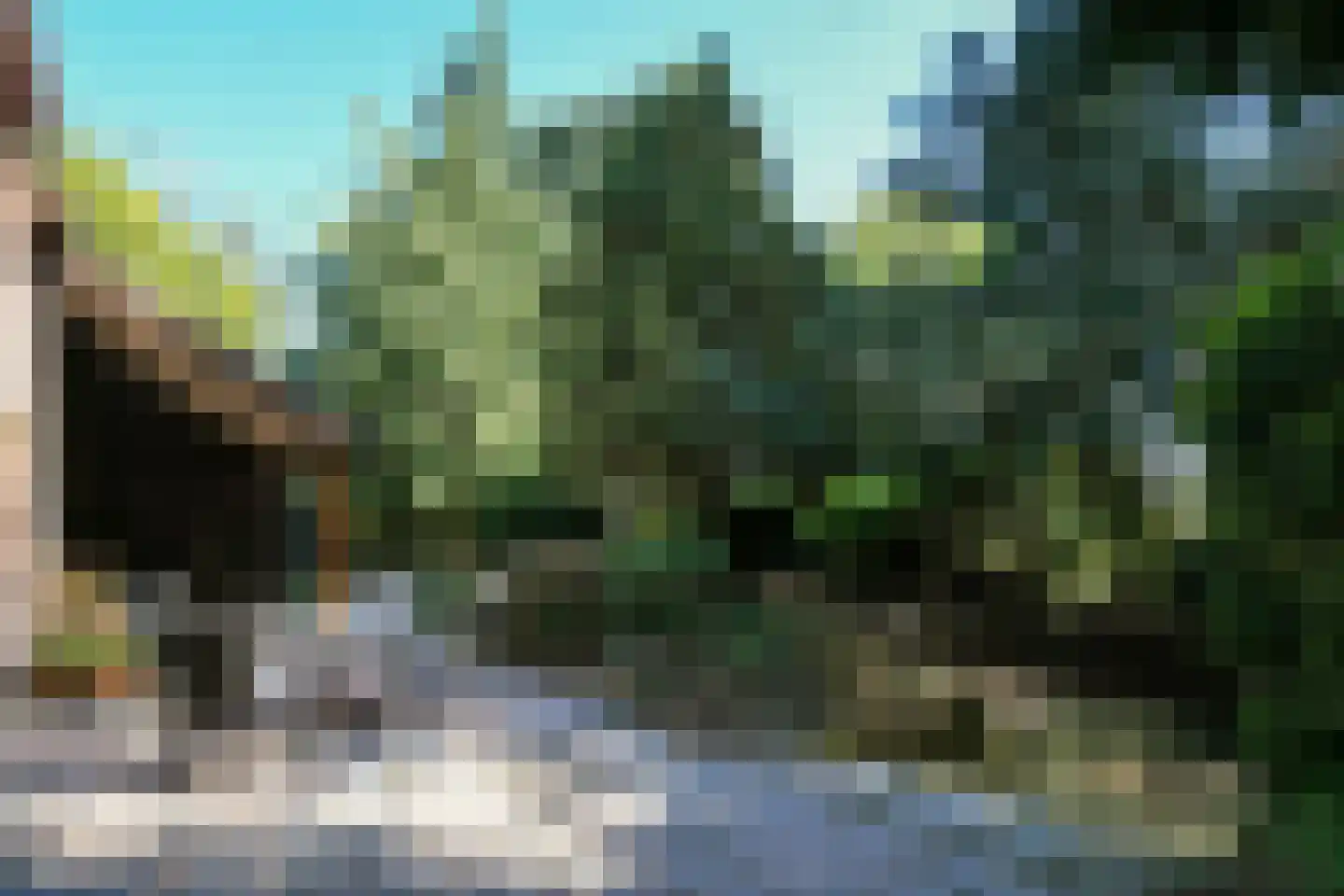 Roermondseweg 13 Haelen thumbnail 7