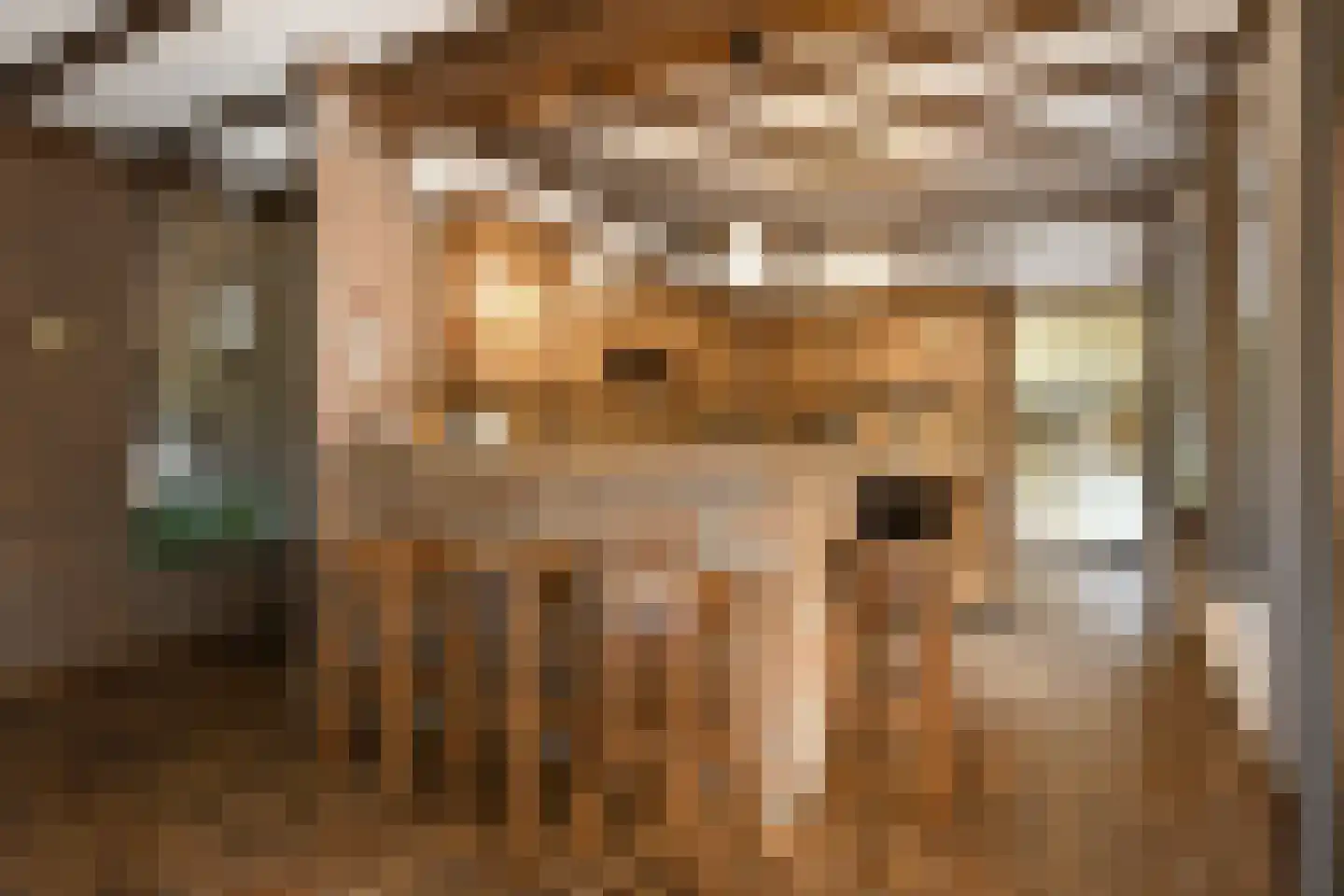 Roermondseweg 13 Haelen thumbnail 9