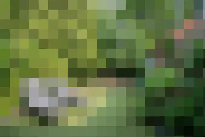 Roermondseweg 147 Steyl thumbnail 19