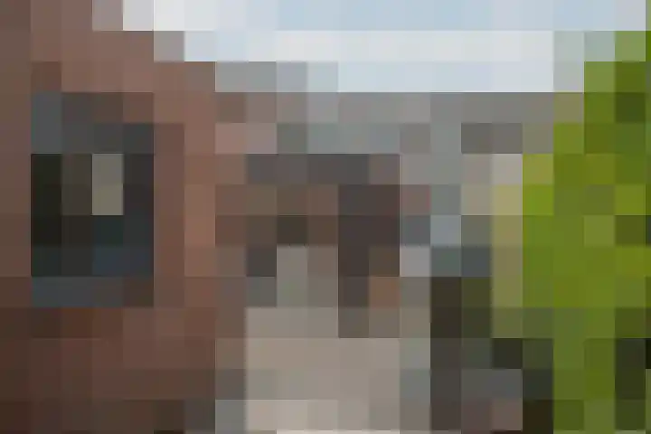 Roermondseweg 147 Steyl thumbnail 21
