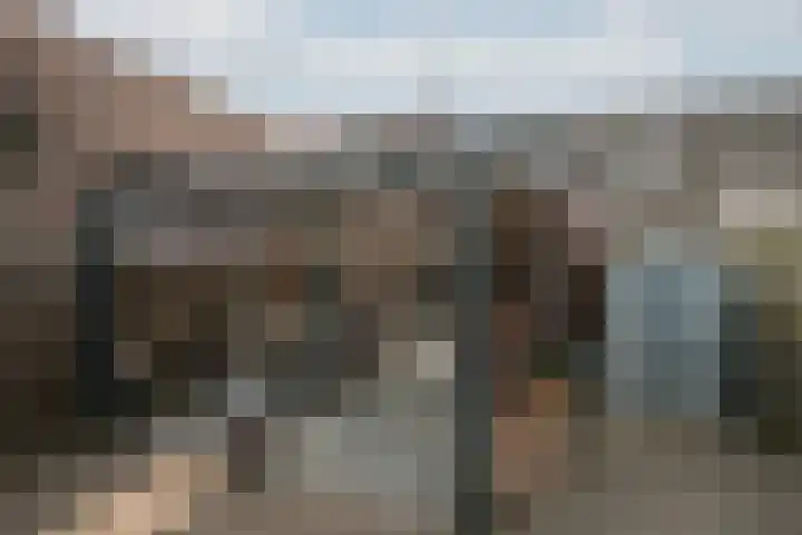 Roermondseweg 147 Steyl thumbnail 22