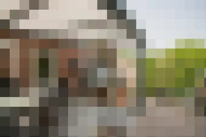 Roermondseweg 147 Steyl thumbnail 23