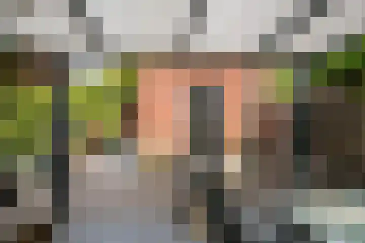 Roermondseweg 147 Steyl thumbnail 24