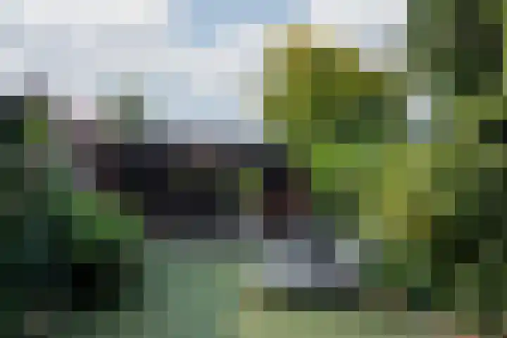 Roermondseweg 147 Steyl thumbnail 5