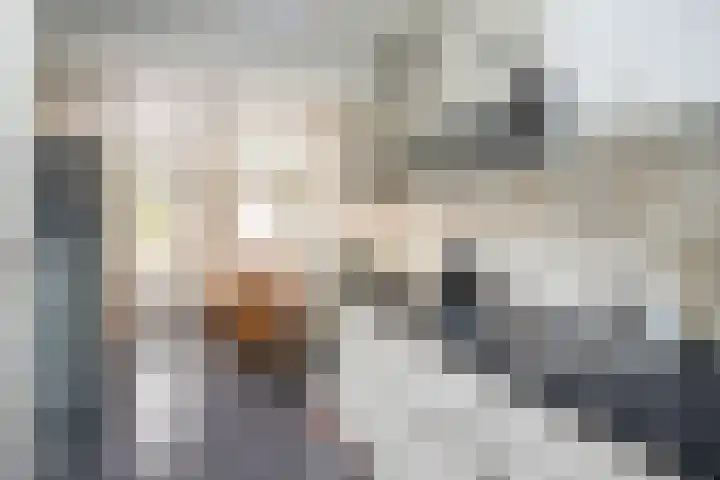 Roermondseweg 147 Steyl thumbnail 8