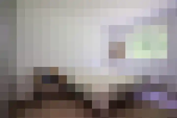 Roermondseweg 170 Steyl thumbnail 24