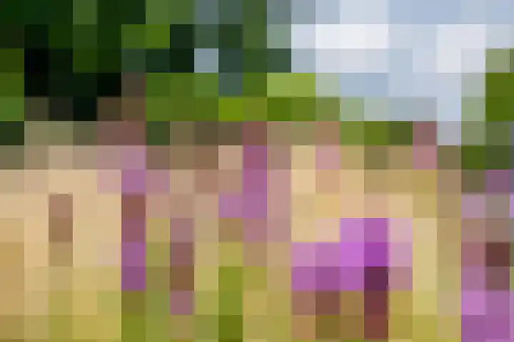Roermondseweg 170 Steyl thumbnail 35