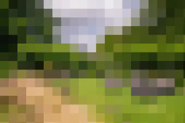 Roermondseweg 170 Steyl thumbnail 37
