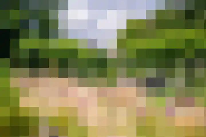 Roermondseweg 170 Steyl thumbnail 38