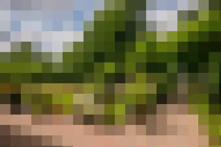 Roermondseweg 170 Steyl thumbnail 40
