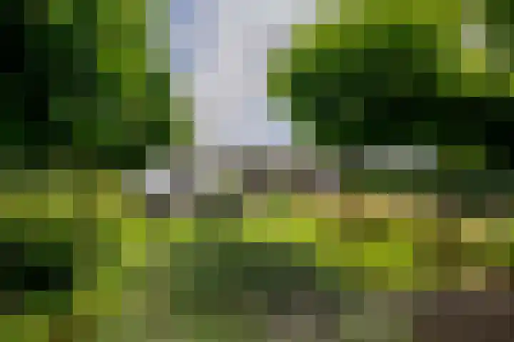 Roermondseweg 170 Steyl thumbnail 43