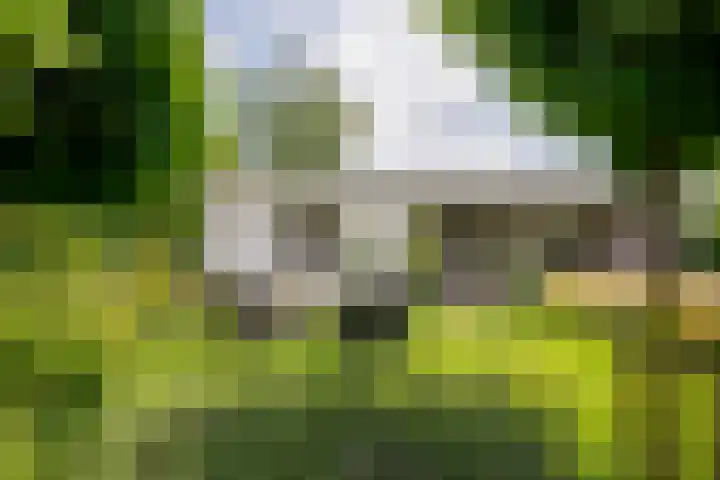 Roermondseweg 170 Steyl thumbnail 44