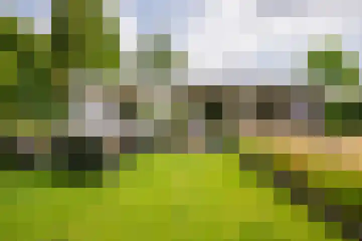 Roermondseweg 170 Steyl thumbnail 45