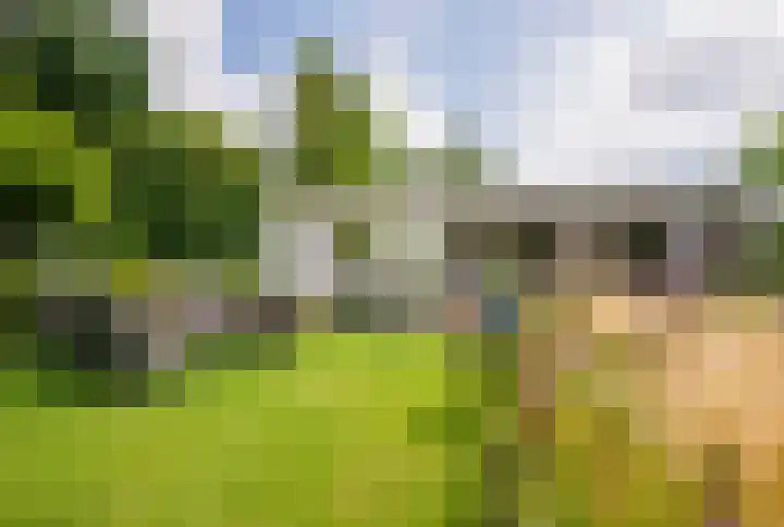 Roermondseweg 170 Steyl thumbnail 46