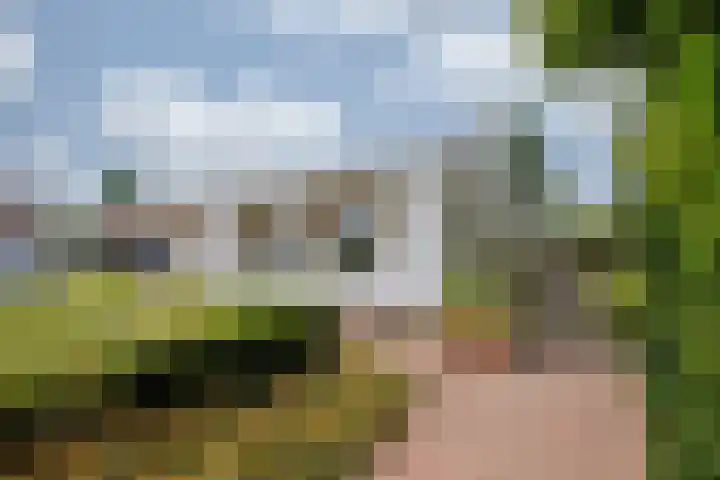 Roermondseweg 170 Steyl thumbnail 49