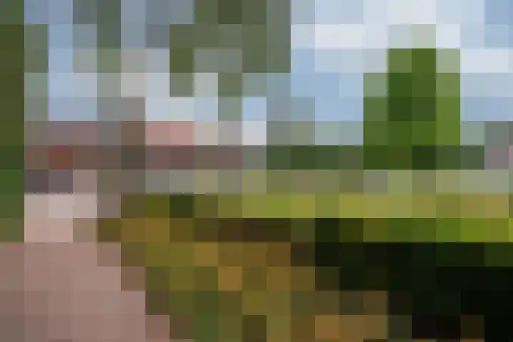 Roermondseweg 170 Steyl thumbnail 51