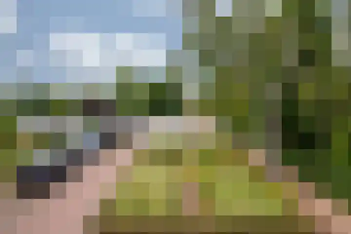 Roermondseweg 170 Steyl thumbnail 54
