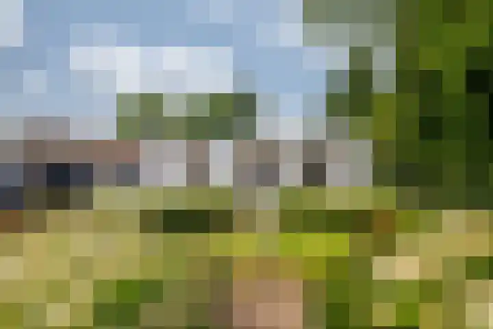 Roermondseweg 170 Steyl thumbnail 56