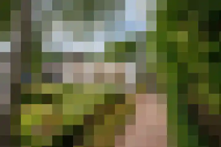 Roermondseweg 170 Steyl thumbnail 57