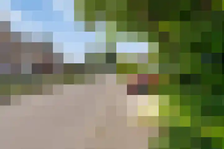 Roermondseweg 46 A Tegelen thumbnail 21