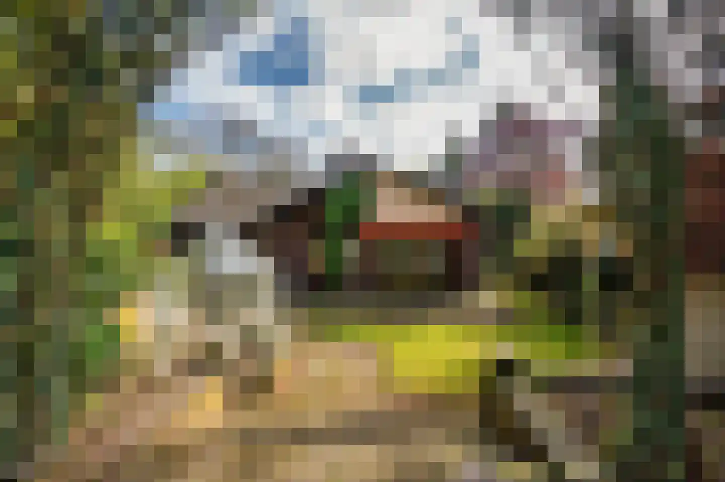 Roermondseweg 82 Haelen thumbnail 4
