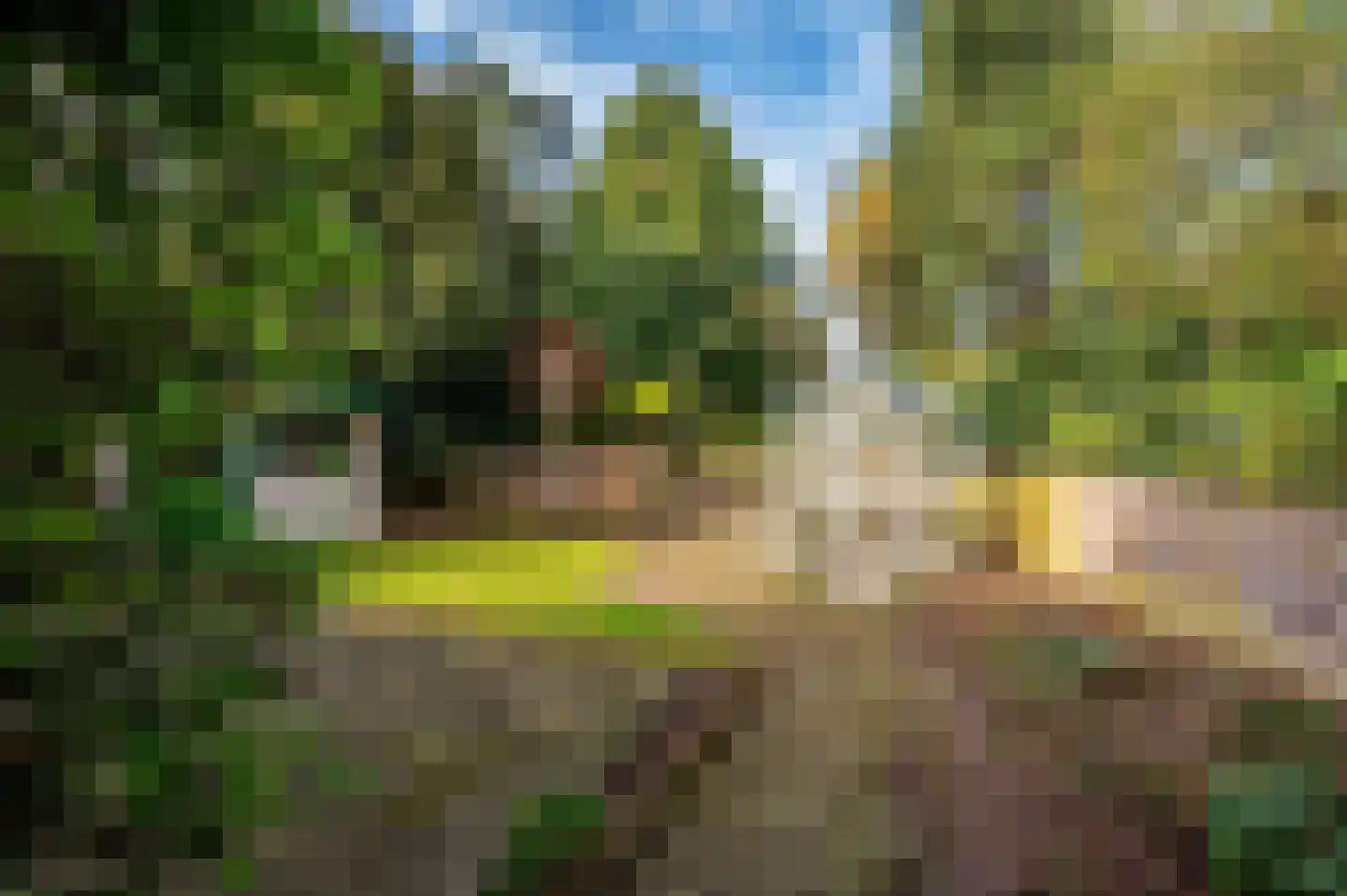 Roermondseweg 82 Haelen thumbnail 42