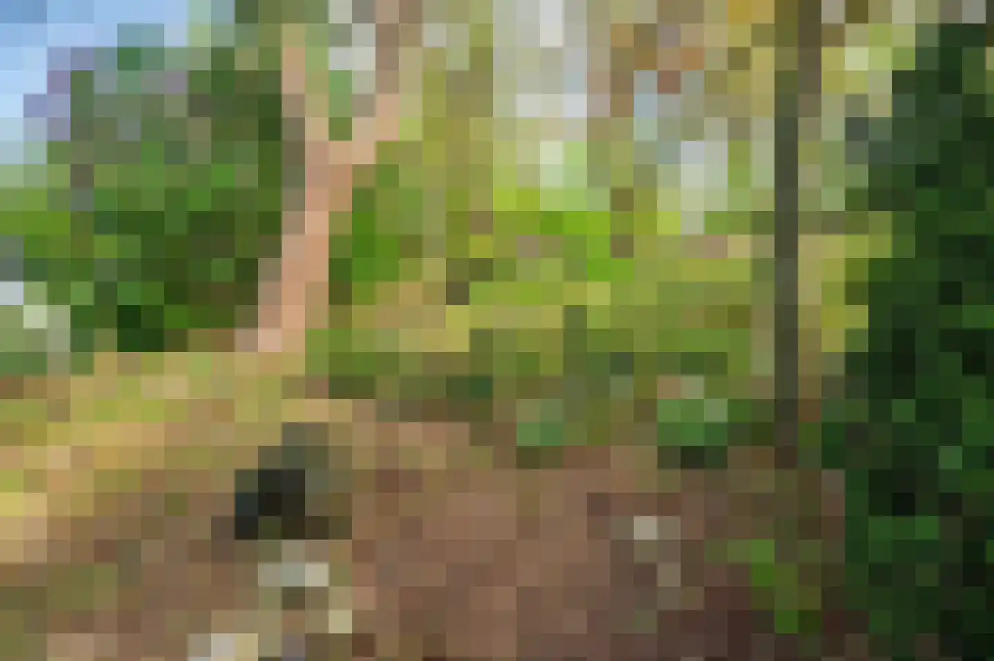 Roermondseweg 82 Haelen thumbnail 47